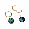 ∅19mm Oorringen Verguld RVS - Oorbellen met Multicolor Abalone Schelp