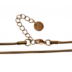 60cm tot 64cm x 2mm Ketting Unisex - Verguld RVS - Verstelbaar - Ronde Slangenketting