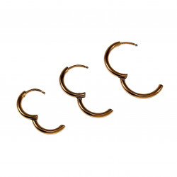 Oorbellen - Earrings - Verguld RVS - Drie Stuks Oorringen Unisex