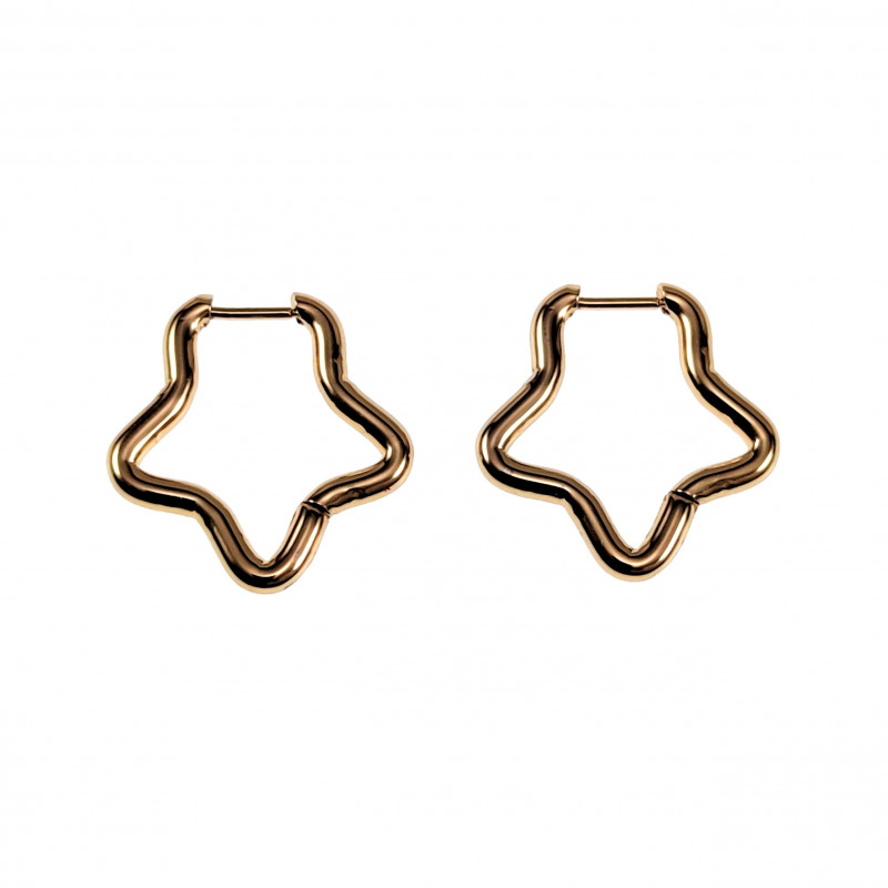 ∅22mm Ster Oorbellen Dames - Verguld RVS - Oorringen ∅22mm Ster Oorbellen Dames - Verguld RVS - Oorringen