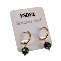 ∅16mm Oorringen Dames Verguld RVS Oorbellen met Abalone Schelp Hanger