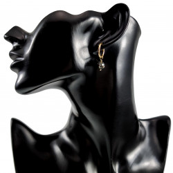 ∅16mm Oorringen Dames Verguld RVS Oorbellen met Abalone Schelp Hanger