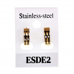 ∅13mm x 4mm Oorbellen Unisex - Verguld RVS - Oorringen Dames en Heren