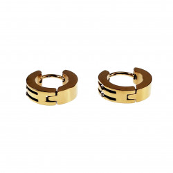 ∅13mm x 4mm Oorbellen Unisex - Verguld RVS - Oorringen Dames en Heren