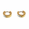 ∅13mm x 4mm Oorbellen Unisex - Verguld RVS - Oorringen met Parelmoersteen