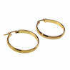 ∅30mm x 4mm Oorbellen Dames - Verguld RVS - Oorringen