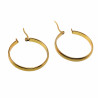 ∅30mm x 4mm Oorbellen Dames - Verguld RVS - Oorringen