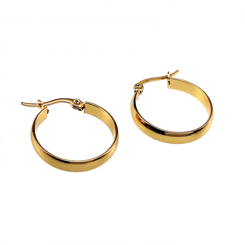 ∅22mm x 4mm Oorbellen Dames - Verguld RVS - Oorringen