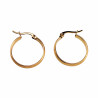 ∅22mm x 4mm Oorbellen Dames - Verguld RVS - Oorringen