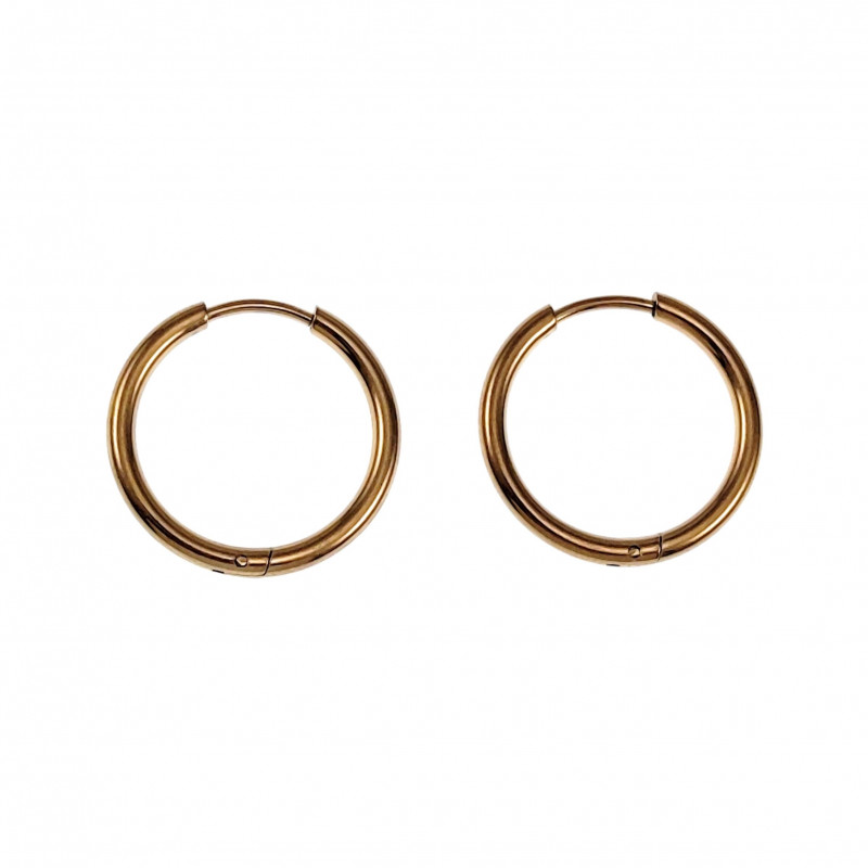 ∅20mm x 2mm Oorringen Unisex - Verguld RVS - Oorbellen Dames - Heren ∅20mm x 2mm Oorringen Unisex - Verguld RVS - Oorbellen Dames - Heren