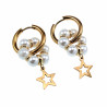 Lange Oorbellen  Ster-Design  Verguld RVS Oorringen met Kristal Hanger