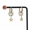 Lange Oorbellen  Ster-Design  Verguld RVS Oorringen met Kristal Hanger