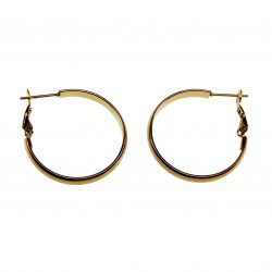 ∅28mm x 3mm Oorringen Dames - Gepolijst Verguld RVS -  Oorbellen