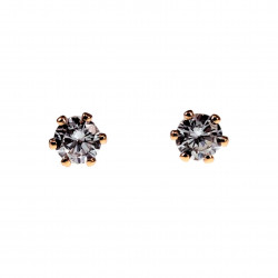5mm Oorknoppen - Roségold Plated - Ronde Oorbellen met Zirkoniasteen