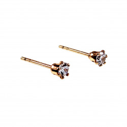 4mm Oorknoppen - Roségold Plated - Ronde Oorbellen met Zirkoniasteen