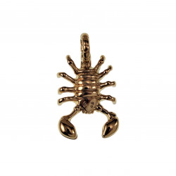 40mm x 21mm Schorpioen  Hanger Unisex - Verguld RVS - Sterrenbeeld