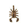 40mm x 21mm Schorpioen  Hanger Unisex - Verguld RVS - Sterrenbeeld