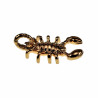 40mm x 21mm Schorpioen  Hanger Unisex - Verguld RVS - Sterrenbeeld