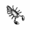 40mm x 21mm Schorpioen  Hanger Unisex - Gepolijst RVS - Sterrenbeeld