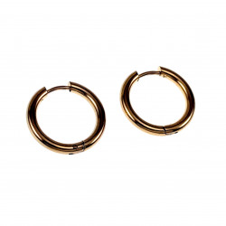 ∅18mm x 2,5mm Oorringen...