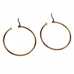 ∅45mm x 2mm Oorringen Unisex - RVS - Oorbellen Dames - Heren