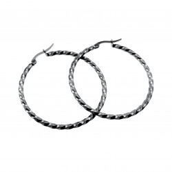 ∅40mm x 2,5mm Oorringen Dames - RVS - Gedraaide Oorbellen