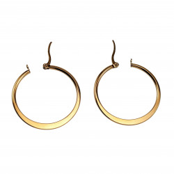 ∅35mm Oorbellen Dames - Platte-Design - Verguld RVS - Oorringen