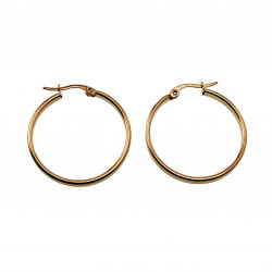 ∅30mm x 3mm Oorbellen Dames - Verguld RVS - Brede-Design Oorringen