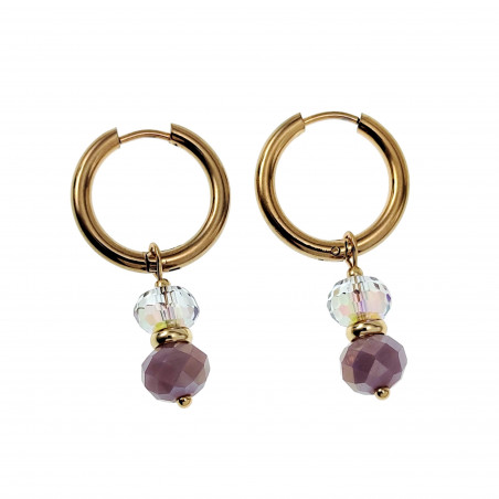 Verguld RVS - Oorringen met Paarse Kristalkrallen Hanger - Bungelende