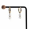 Verguld RVS - Oorringen met Gebroken Witte Kristalkrallen Hanger