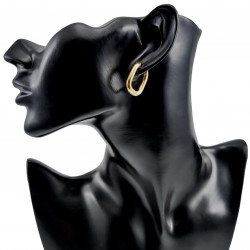 24mm x 19mm x 4mm Oorbellen Dames - Verguld RVS - U-vormige Oorrigen