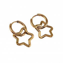 ∅14mm x 2mm Oorbellen Dames -  Verguld RVS - Oorringen met Asymmetrische Sterhanger