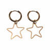 ∅16mm x 2mm Oorbellen Dames - Verguld RVS - Oorringen met Sterhanger