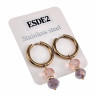 Verguld RVS Oorringen met Paarse en Roze Kristalkrallen Hanger