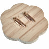 Lange Oorbellen Dames - Verguld  RVS Oorknopjes met Twee Ketting