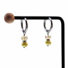Dames - Verguld RVS Oorringen met Gele Gefacetteerde Kristal Hanger
