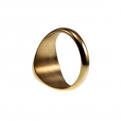 Zegelring Unisex - Goudkleurig RVS - Verguld Stalen Ring met Kruis - Dames - Heren