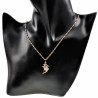 Dames - Rope Oval Ketting met Dolfijnen Hanger - Rose Gold Plated