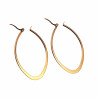 ∅50mm Oorbellen Dames - Ovaal Desing - Verguld RVS - Oorringen