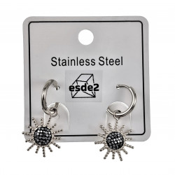∅14mm x 2mm Oorbellen Dames - Gepolijst RVS - Ooringen met Zonnehanger