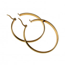 ∅40mm x 4mm Oorringen Dames - Verguld RVS - Oorbellen