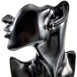 ∅10mm x 2mm Oorbellen Unisex - Gepolijst RVS - Oorringen Dames - Heren