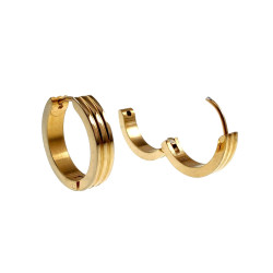 ∅20mm x 4mm Oorbellen Unisex - Verguld RVS - Oorringen Dames - Heren