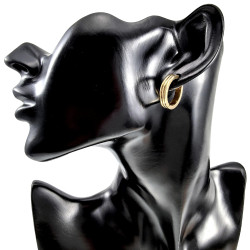 ∅20mm x 4mm Oorbellen Unisex - Verguld RVS - Oorringen Dames - Heren