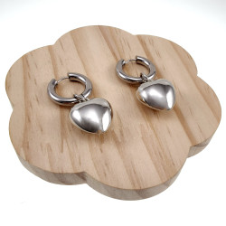 Langer Oorbellen Dames - Gepolijst RVS - Oorringen met Hart Hanger