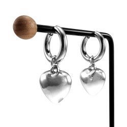 Langer Oorbellen Dames - Gepolijst RVS - Oorringen met Hart Hanger