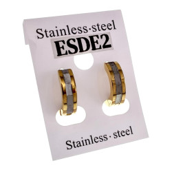 ∅13mm x 4mm Oorringen Unisex - Verguld RVS - Bicolor Oorbellen
