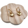 Oorbellen met Harthanger Dames - Veguld RVS Oorringen met Strass
