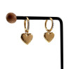 Oorbellen met Harthanger Dames - Veguld RVS Oorringen met Strass
