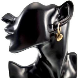Oorbellen met Harthanger Dames - Veguld RVS Oorringen met Strass